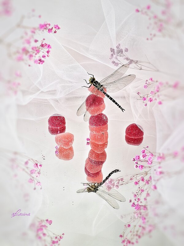 Лето. - Галина Левина