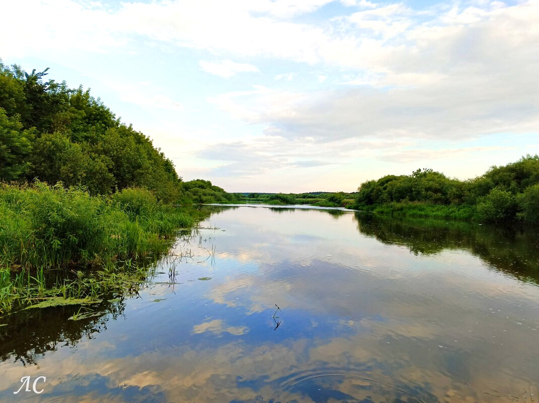 В реку смотрятся облака... - Любовь Сахарова