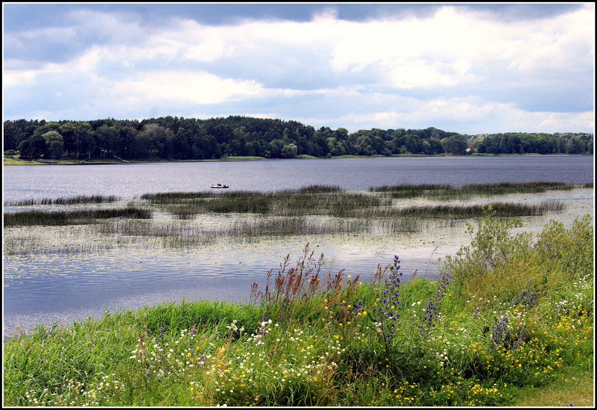 Лето - Aleksandr Gal Лето - Aleksandr Gal