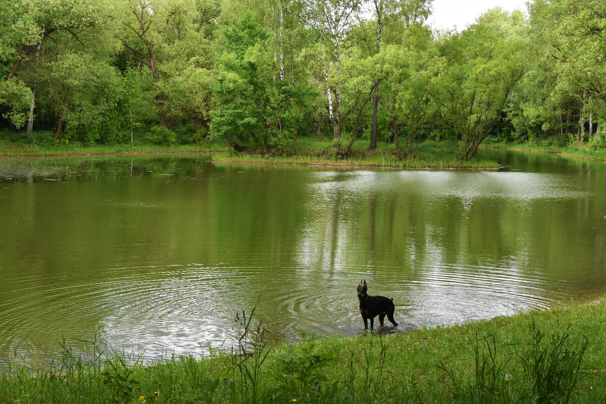 Москва. Усадьба Кусково. - Наташа ***** Москва. Усадьба Кусково. - Наташа *****