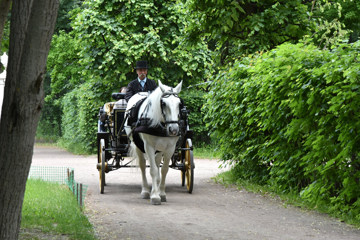 Москва. Усадьба Кусково. - Наташа *****