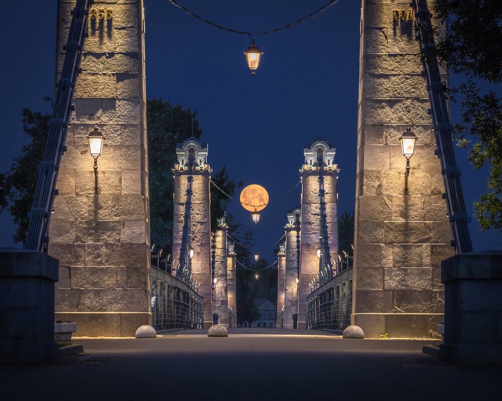 **** - Елизавета .