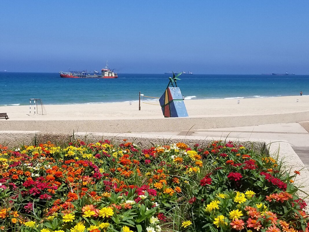 Наше Средиземное море - Светлана Хращевская