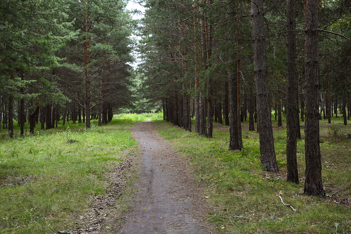 Фотостудия  макрушника - Геннадий Супрун