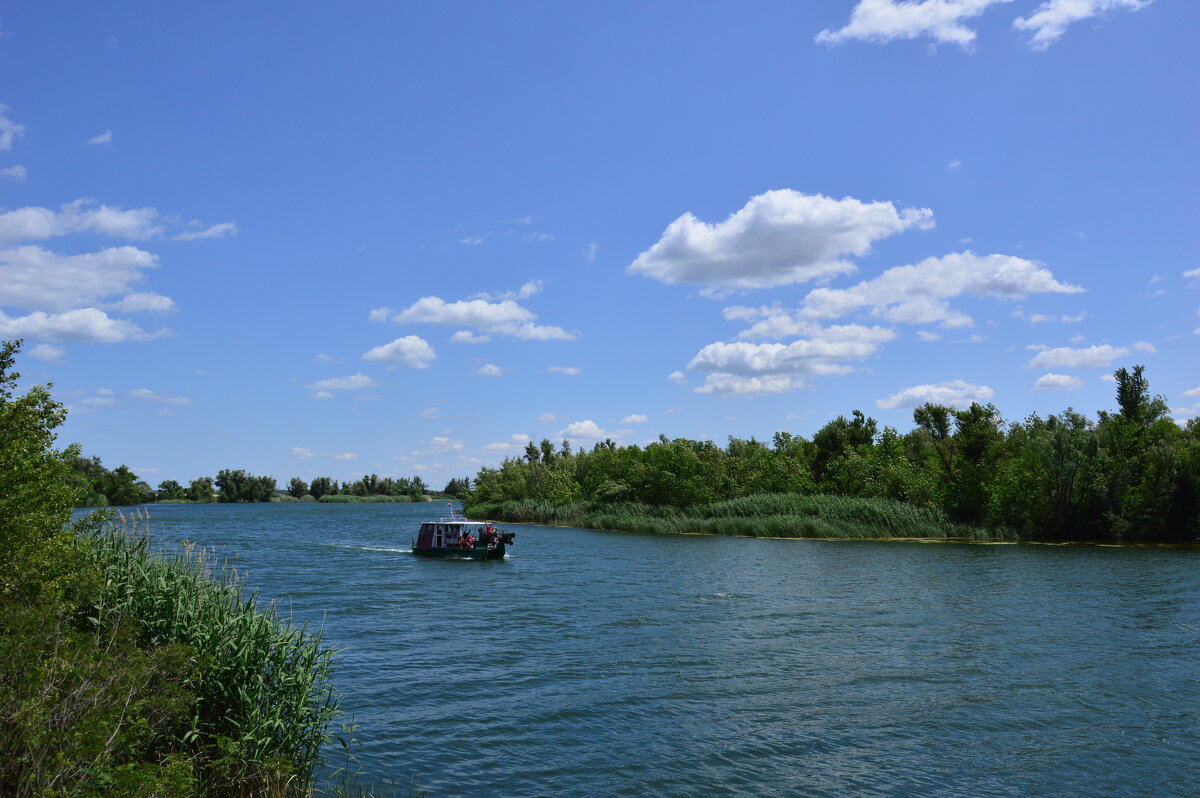 У реки. - Виктор 