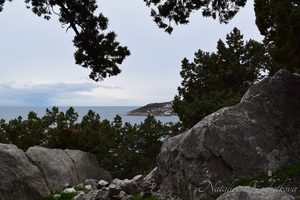 Природа Крыма - Amazing Cosmea