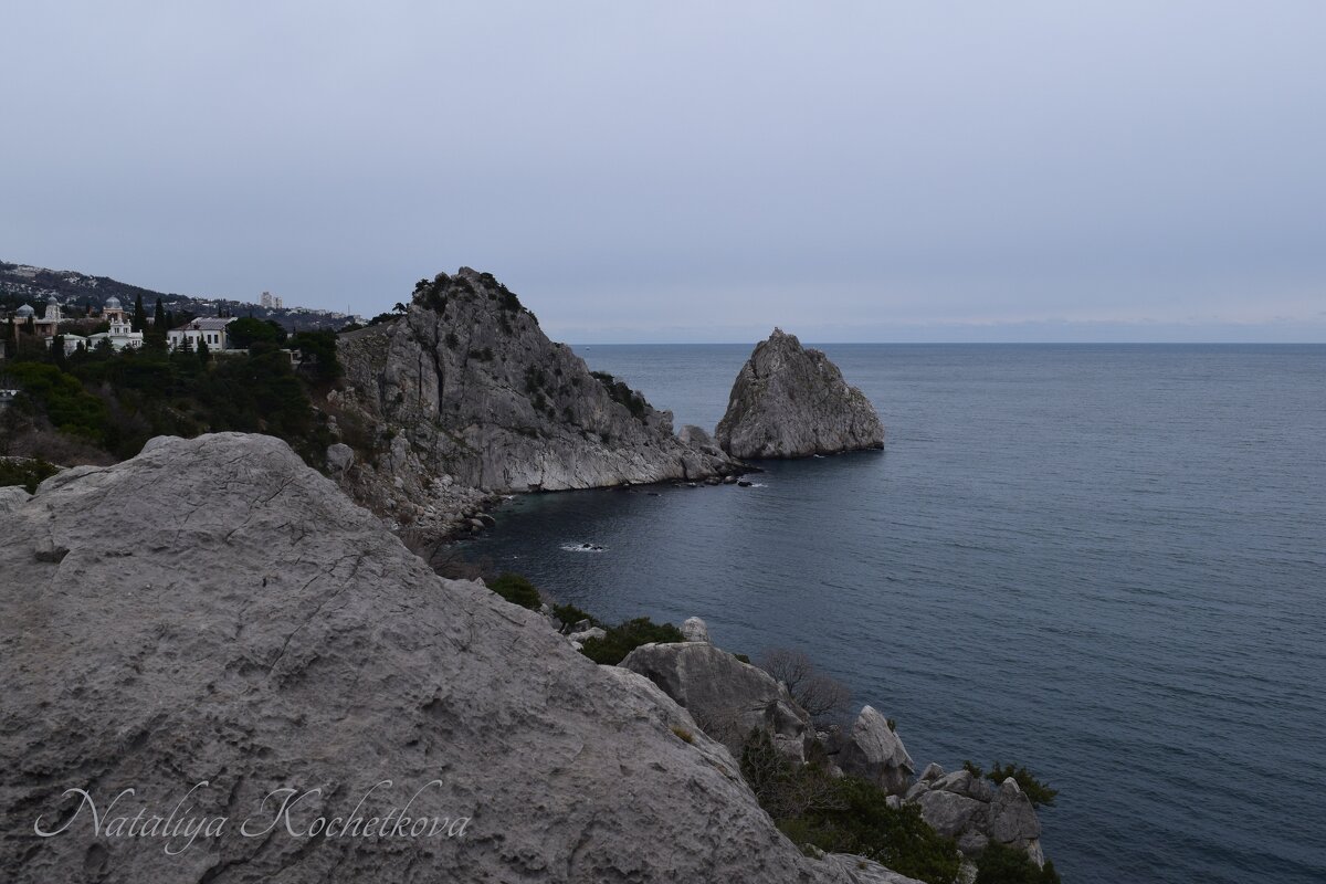 Природа Крыма - Amazing Cosmea