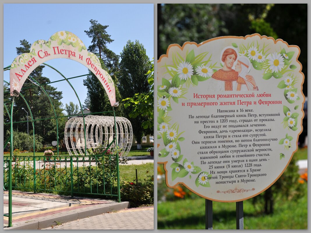 С Днём семьи, любви и верности! - Татьяна Машошина