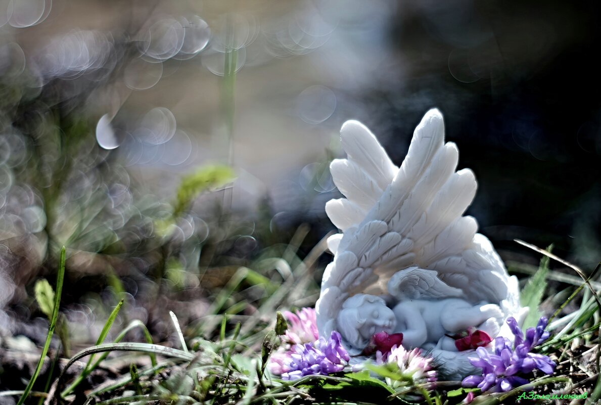 О спящих ангелах июля... - Андрей Заломленков