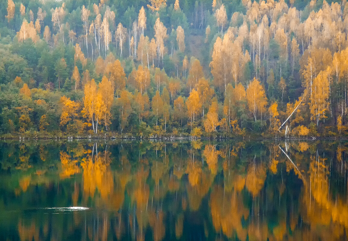 Зеркало - александр 