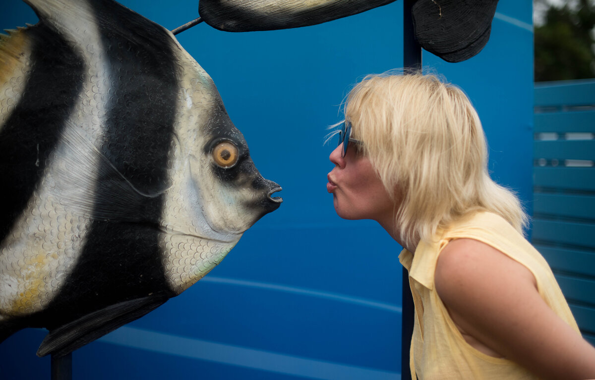 Рыбка моя.. - Светлана Попова