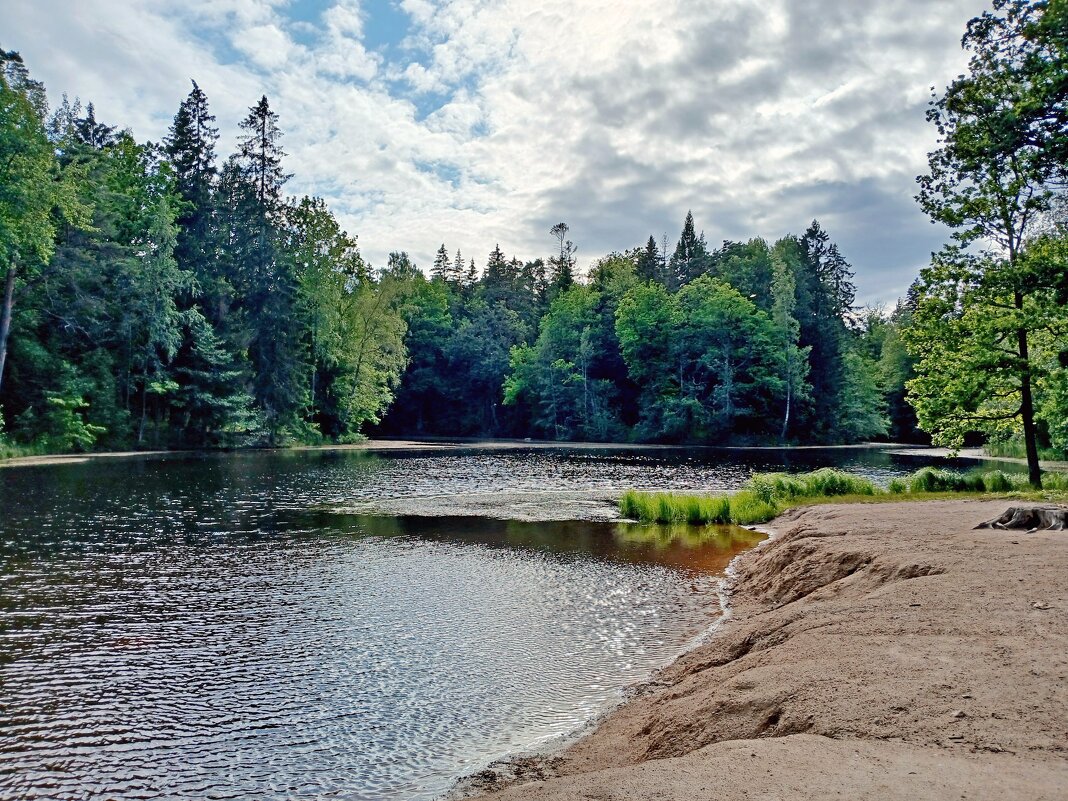 Лесное озеро, штормит немного. - Лия ☼