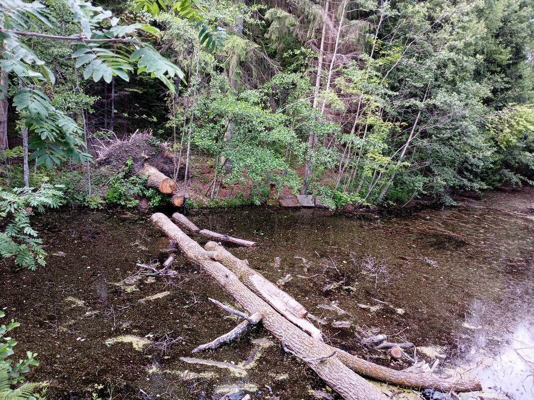 С корнем вывернуло. - Лия ☼