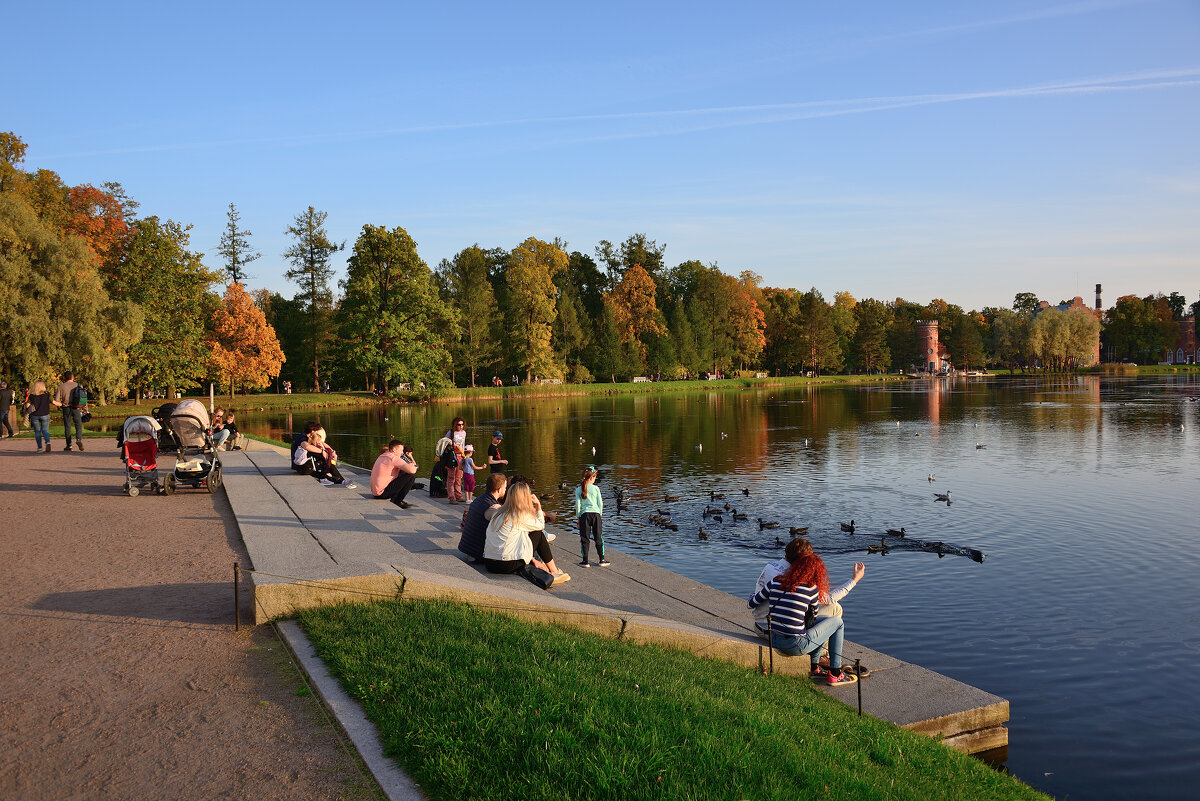*** - Александр Хаецкий *** - Александр Хаецкий