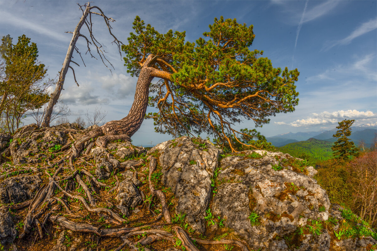 *** - Аnatoly Gaponenko