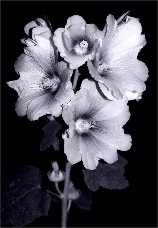 ... - Юрий Ковшов