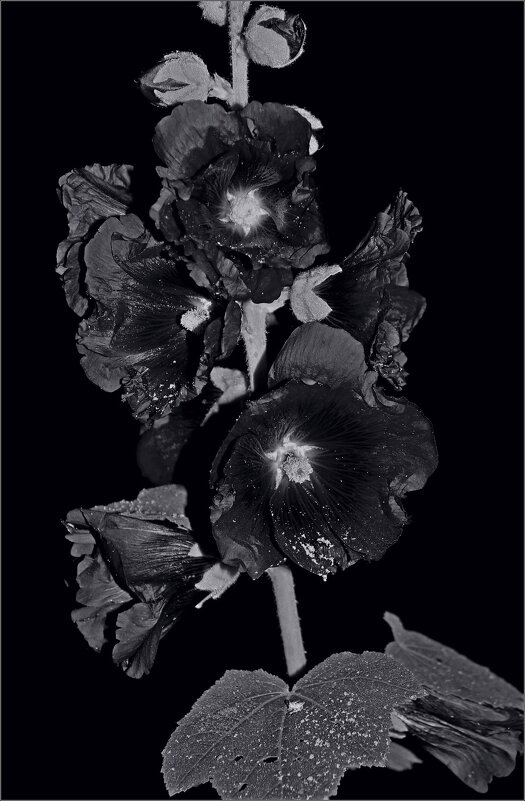 ... - Юрий Ковшов