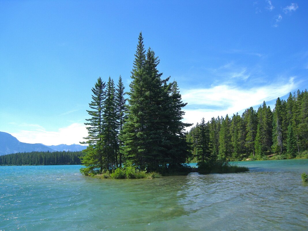 Островок. - unix (Илья Утропов) Островок. - unix (Илья Утропов)