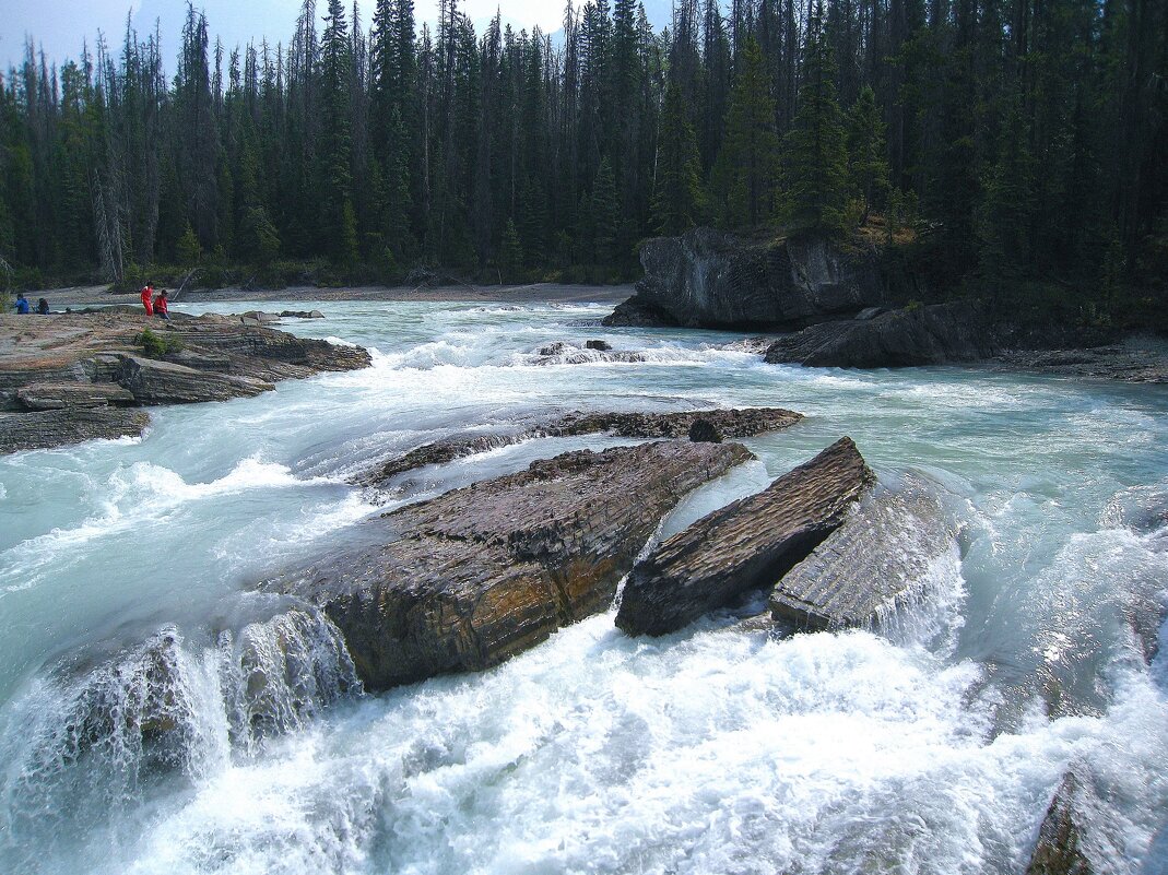Река Кикинг-Хорс в в канадском Национальном парке Йохо. - unix (Илья Утропов) Река Кикинг-Хорс в в канадском Национальном парке Йохо. - unix (Илья Утропов)
