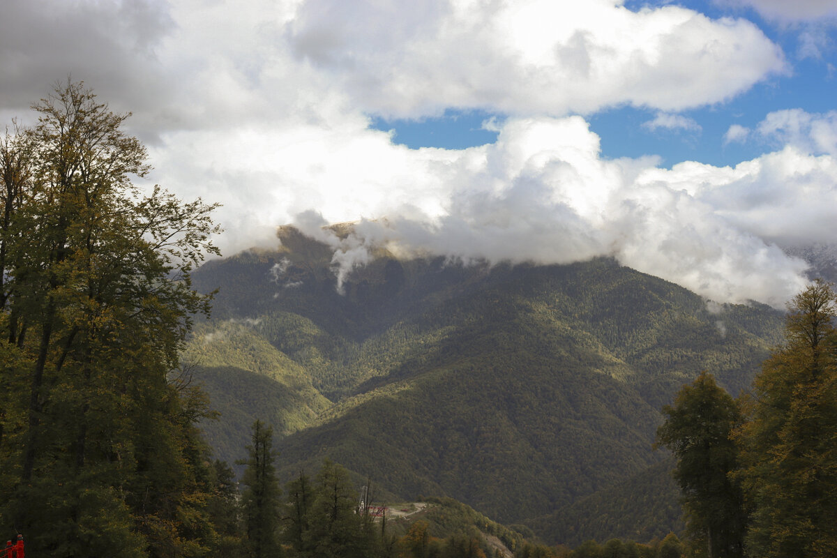 Красная поляна. - Александр Николаев