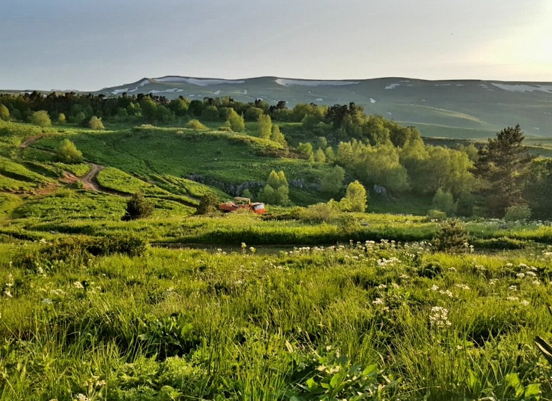 ПЛАТО ЛАГОНАКИ - Tata Wolf