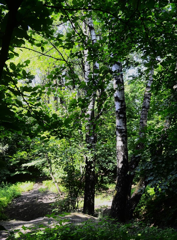 У овражка. - Василий Палий У овражка. - Василий Палий