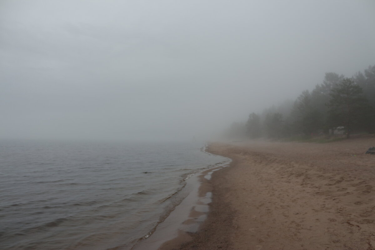 Туман над Ладожским озером - Максим Егоров