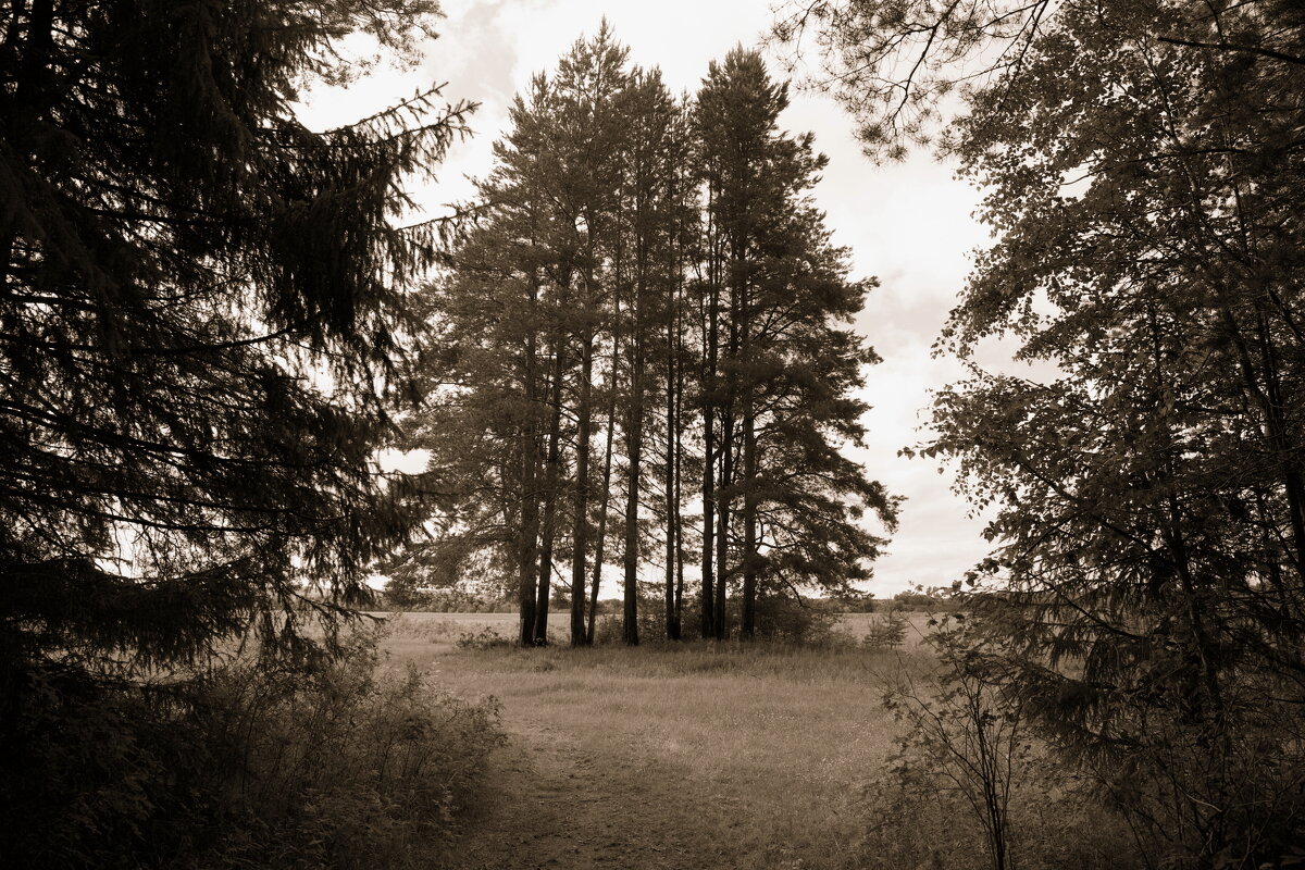 Назва. отсу. - Денис Безногов