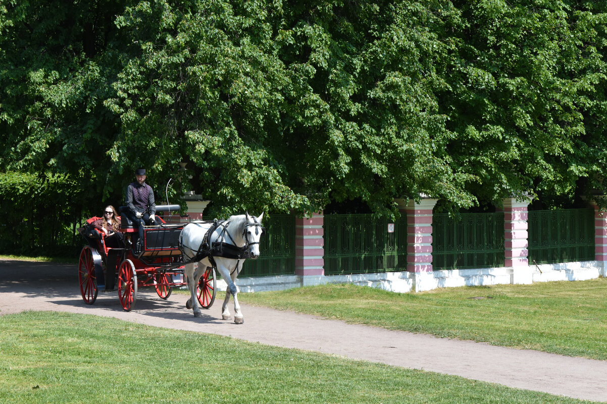 Москва. Усадьба Кусково. - Наташа *****