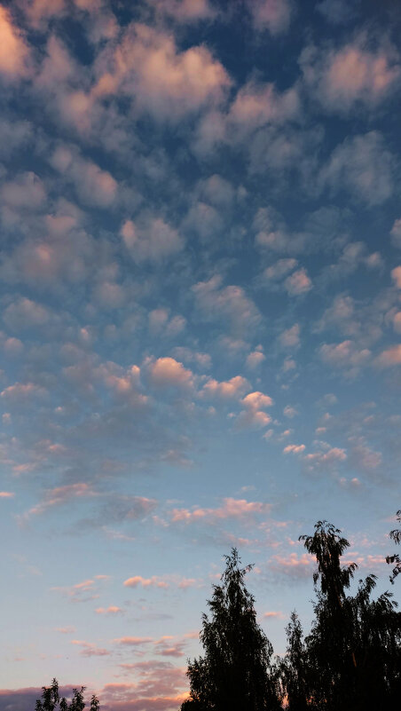 Облака. - Владимир Безбородов