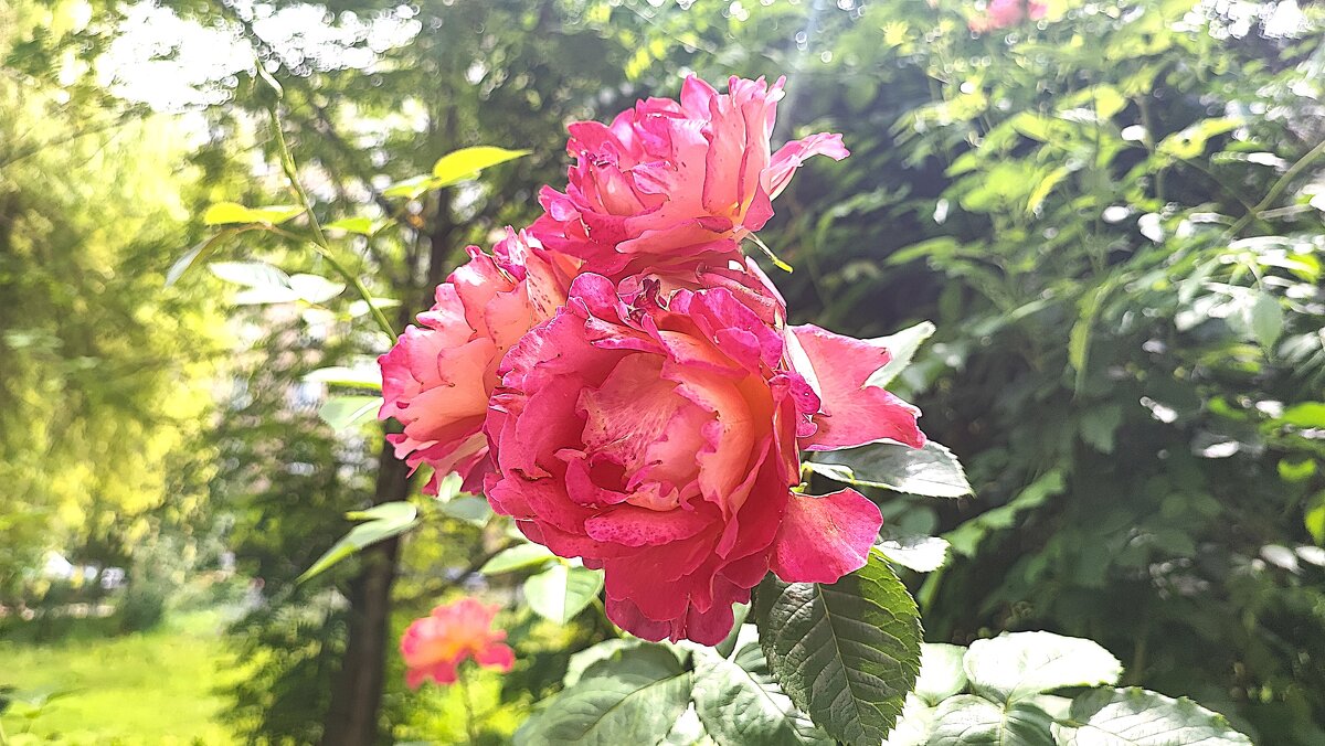 ,,, - Сергей Тимоновский