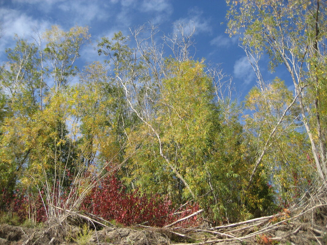 У протоки - Anna Ivanova