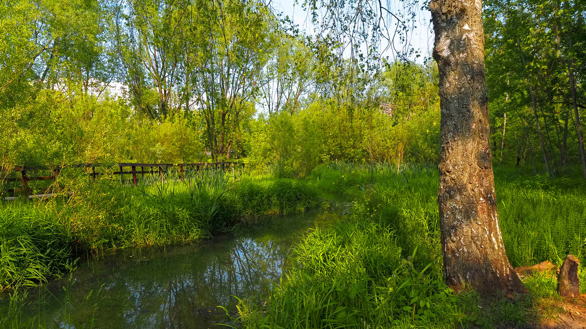 ***** - юрий поляков