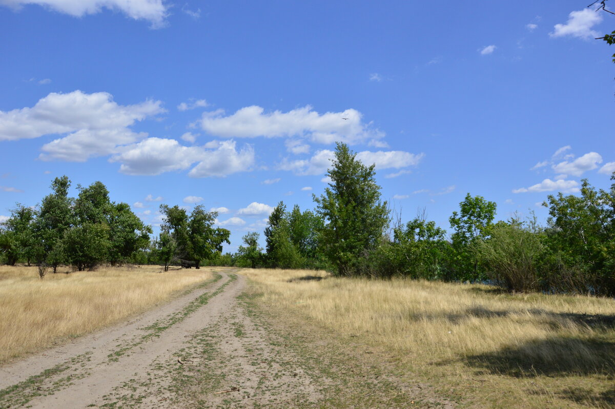Мои дороги. - Виктор 
