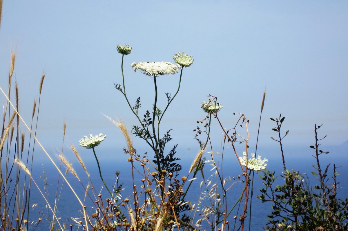 Нежность - Натали 