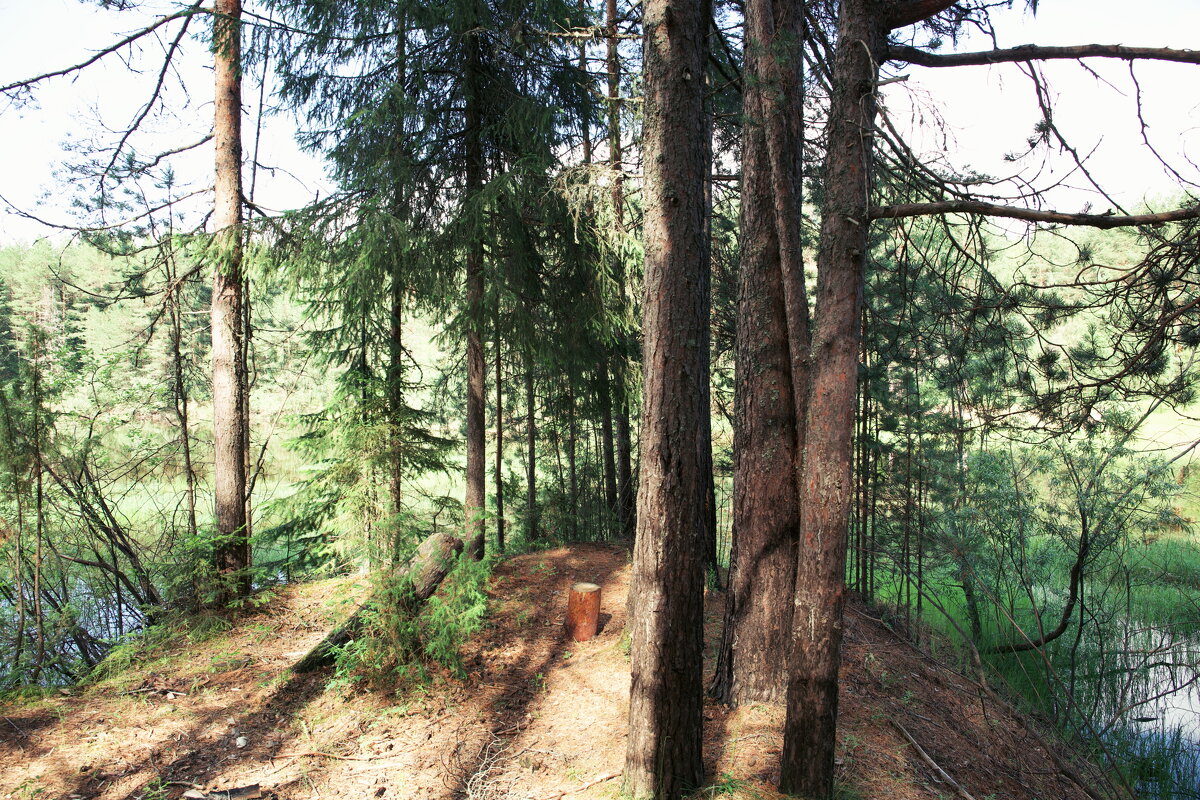 Назва. отсу. - Денис Безногов