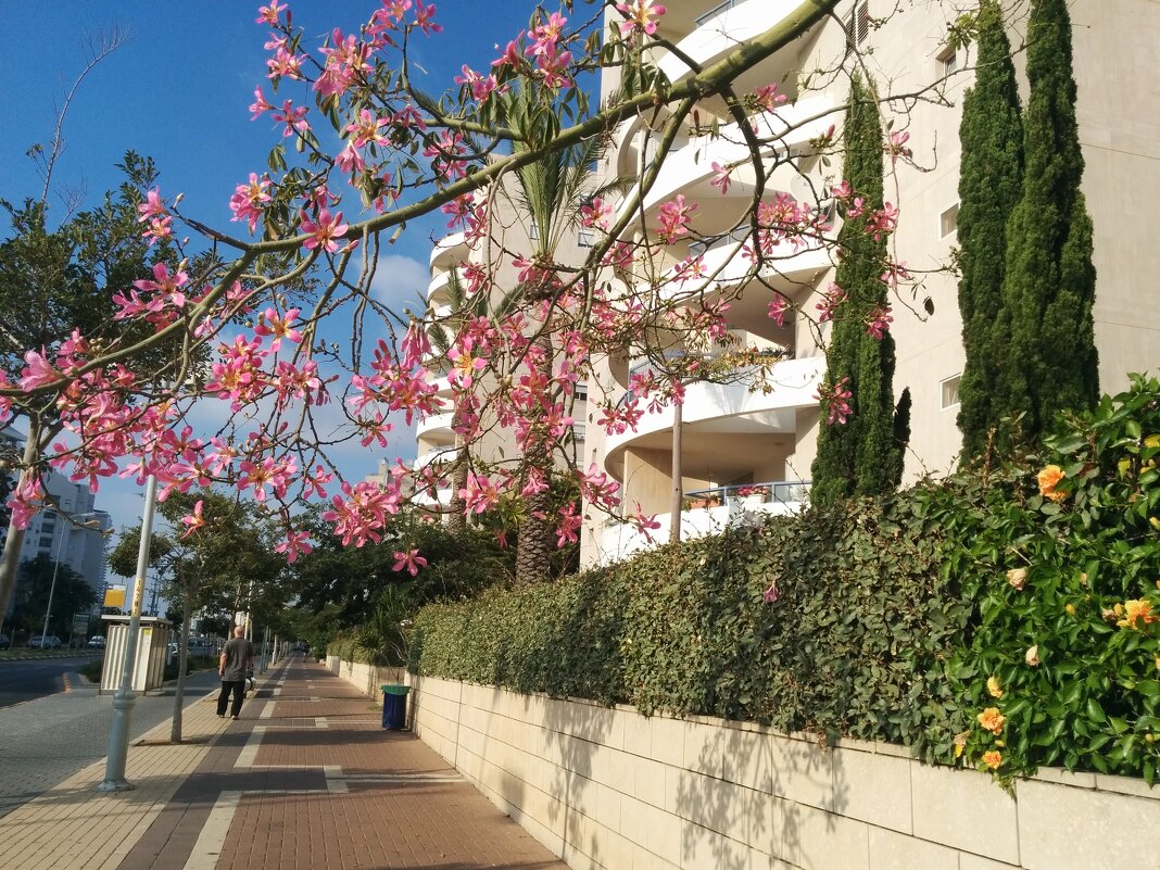 " - Светлана Хращевская " - Светлана Хращевская