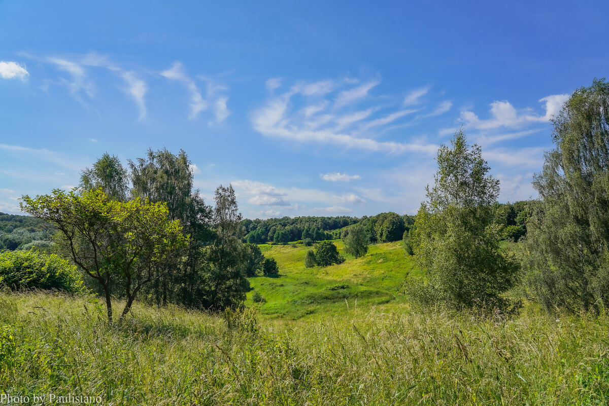 Палитра июля... - Владимир Жданов Палитра июля... - Владимир Жданов
