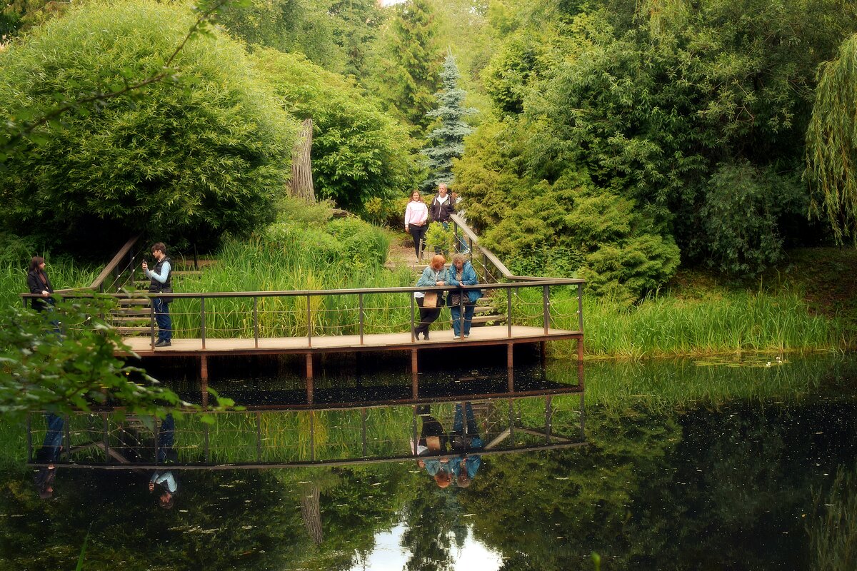 Мостки для созерцания живописных видов. - Татьяна Помогалова