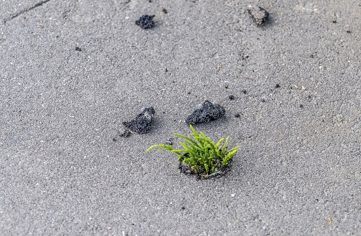 Сила природы - Валерий Иванович