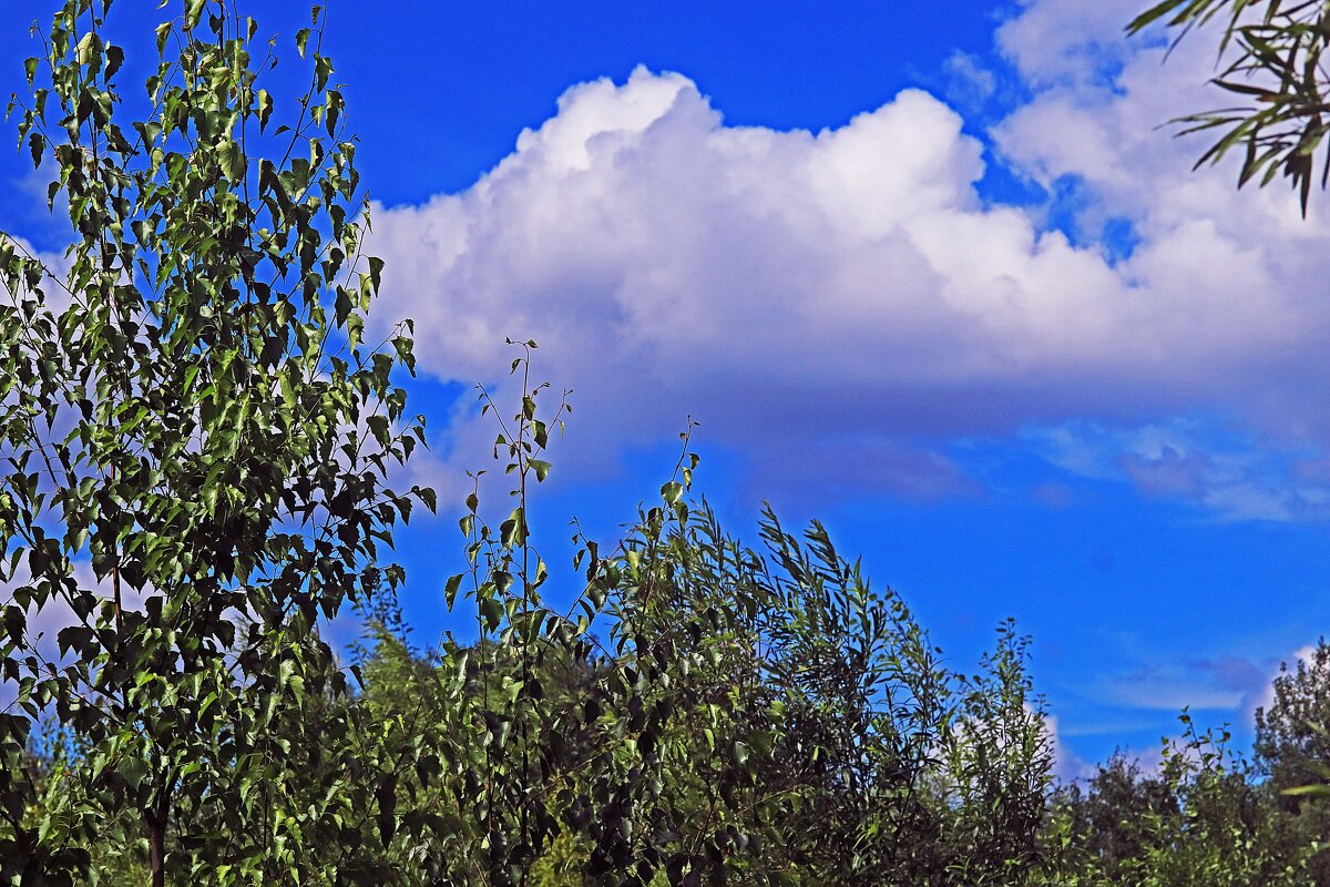 Июль...Летнее облако над городом! - Владимир 