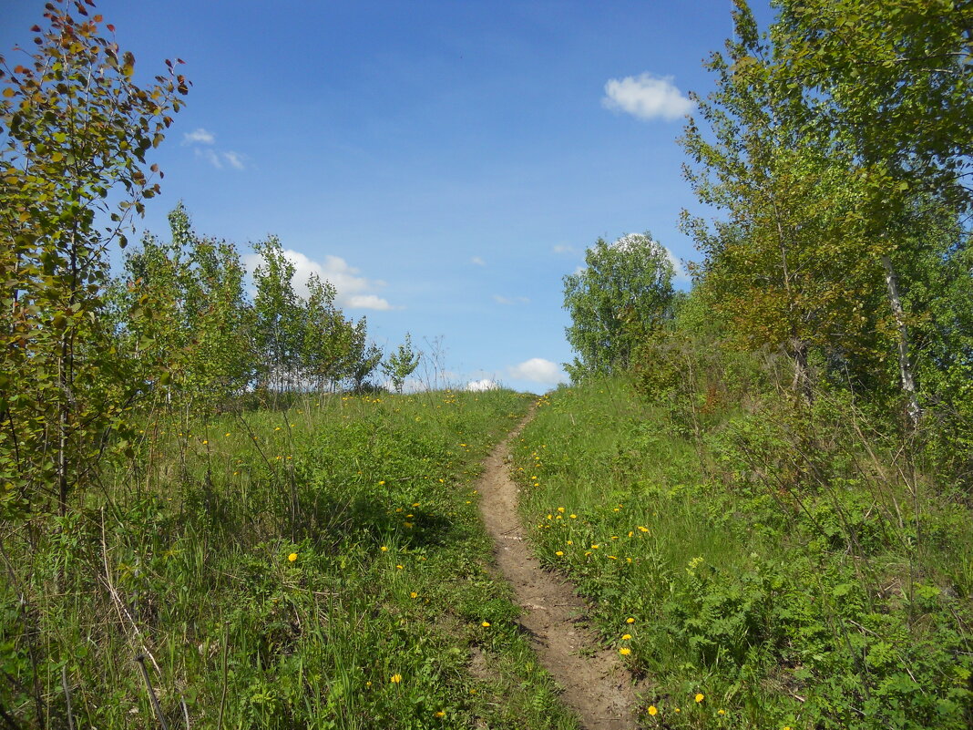 Тропинка - Сергей Швечков Тропинка - Сергей Швечков