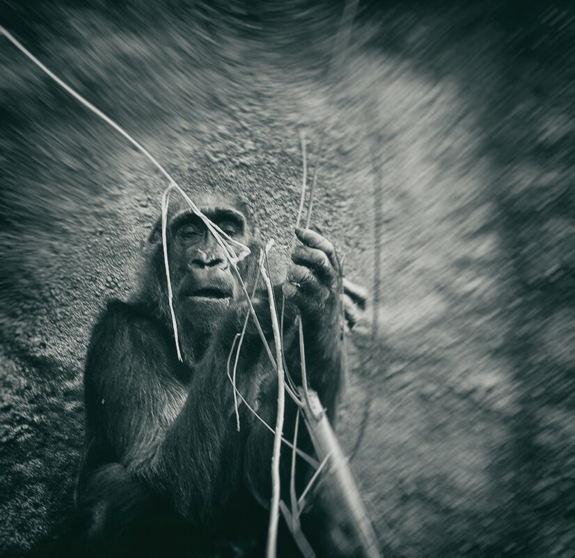 Начало... - Dan Berli