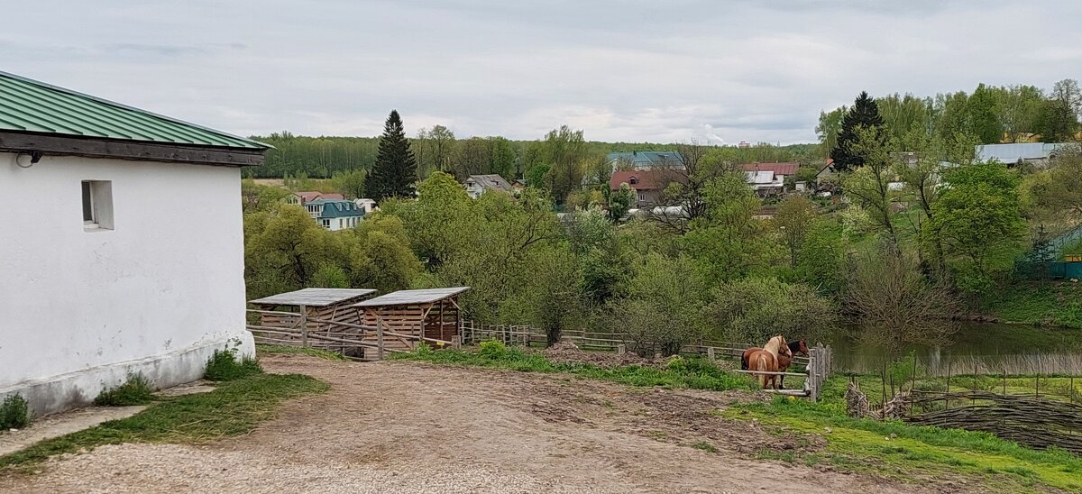 В Ясной поляне - ИРЭН@ .