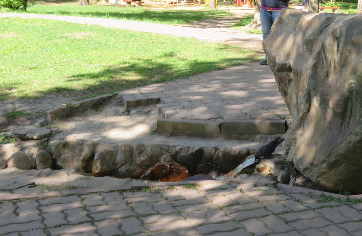 Глоток Дона у его истока - ИРЭН@ .