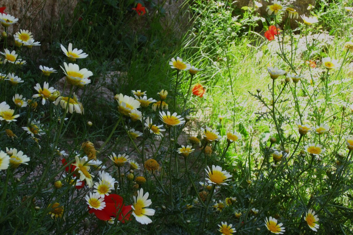 Свет и тени - Натали 