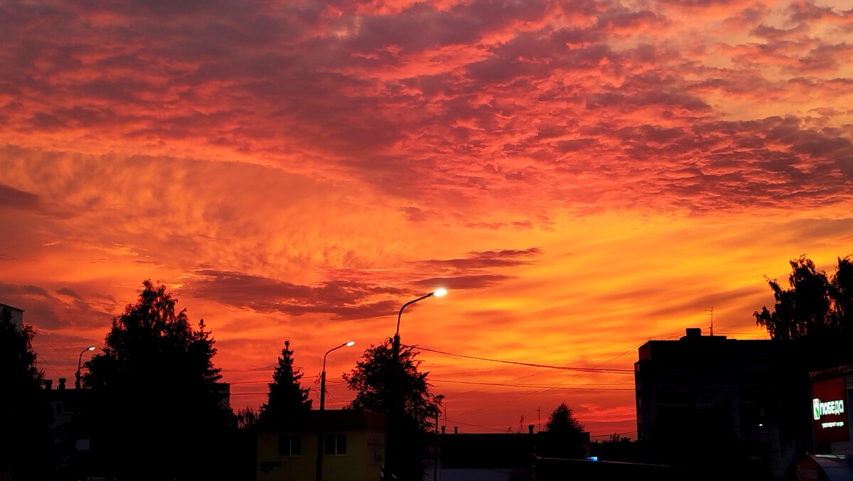 Нереальный!!! - светлана льдокова