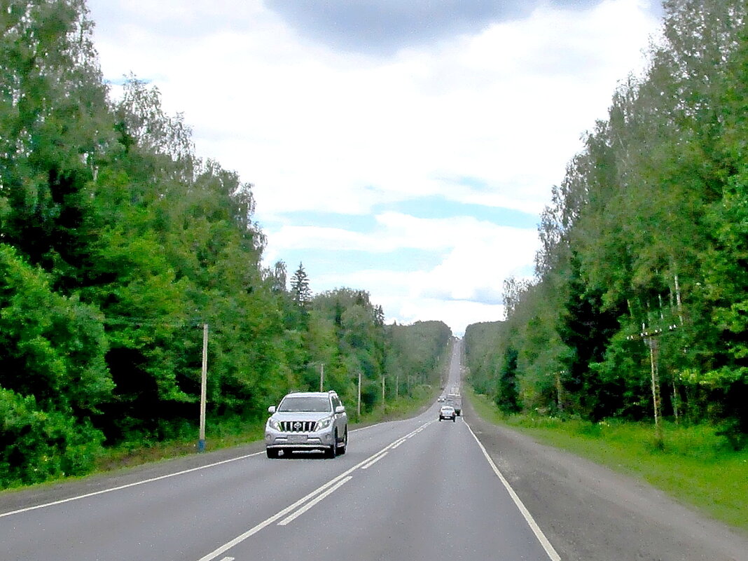 Московское большое кольцо  (А108) - Ольга Довженко