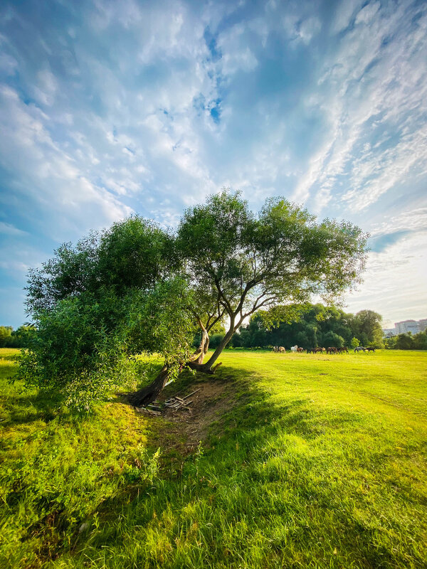 Пока хорошая погода. - Игорь Чичиль Пока хорошая погода. - Игорь Чичиль
