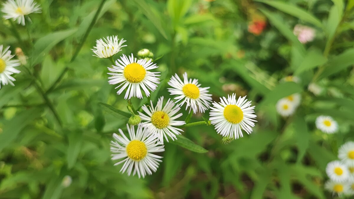 ,,, - Сергей Тимоновский ,,, - Сергей Тимоновский